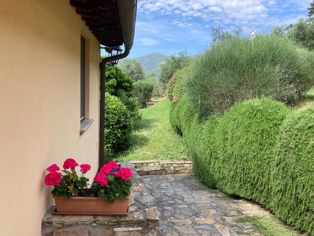 Agriturismo Cima Alla Serra Buti Exterior photo